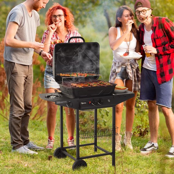 Charcoal Barbecue Party