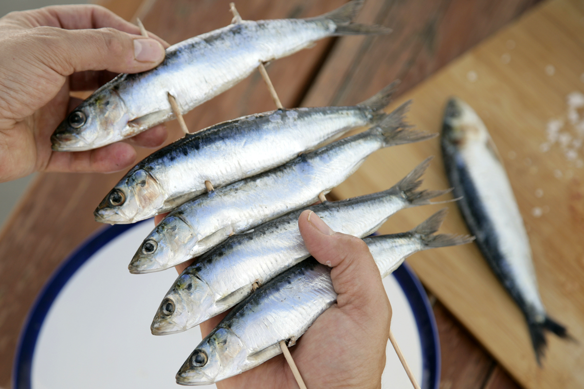 What are the best fish to make on the barbecue or grill?